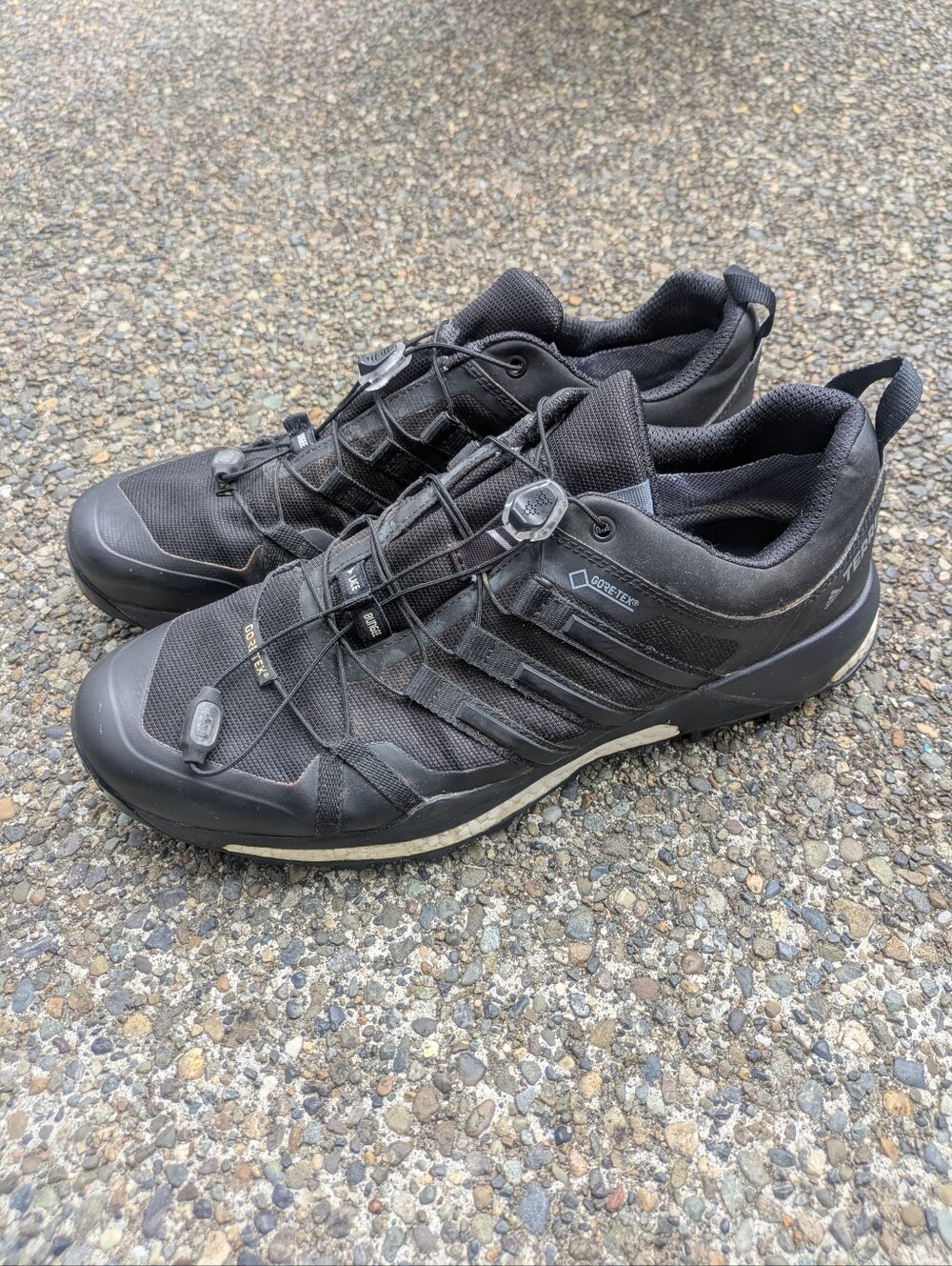 Adidas Terrex Skychaser GTX